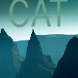 The Province of the Cat
